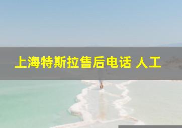 上海特斯拉售后电话 人工